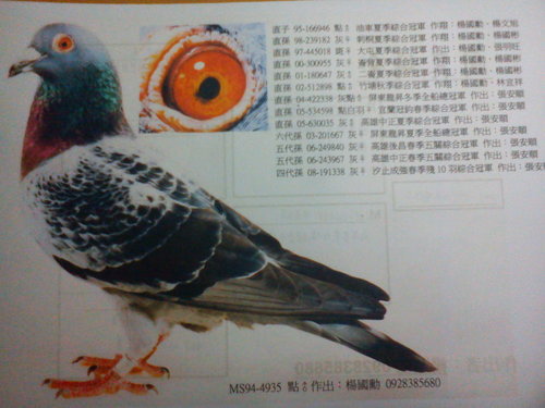 金公4935KCVy6yDqfeGAM9YkGa2UrA 金公4935KCVy6yDqfeGAM9YkGa2UrA