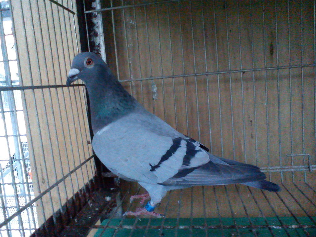 DSC01059 DSC01059