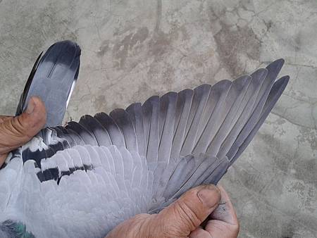 20141101_163030.jpg 20141101_163030.jpg