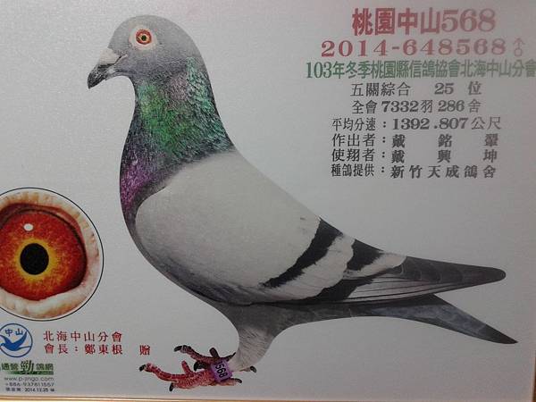 2014冬賽入賞照出爐囉~ 2014冬賽入賞照出爐囉~