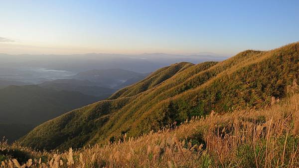 IMG_0772.JPG