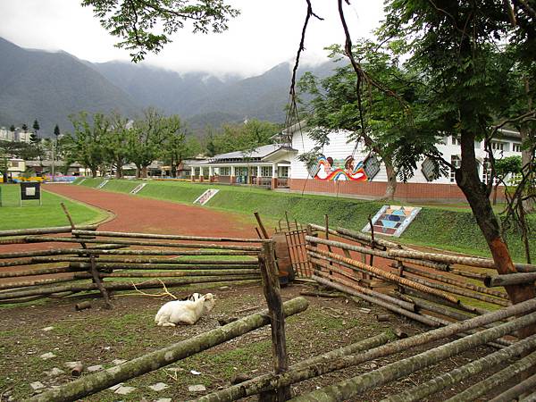 IMG_1024.JPG