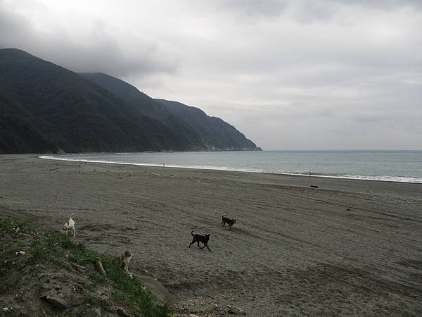 IMG_1036.JPG
