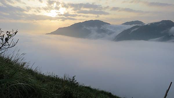 IMG_9921.JPG IMG_9921.JPG
