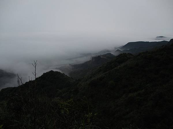 IMG_9886.JPG IMG_9886.JPG