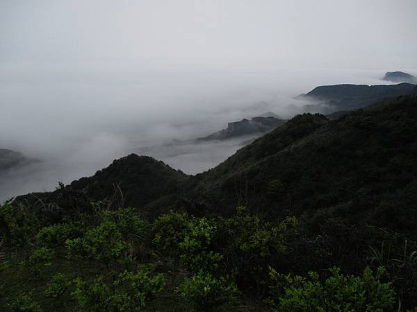 IMG_9883.JPG IMG_9883.JPG