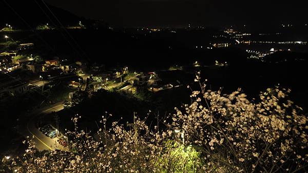 IMG_3897.JPG IMG_3897.JPG