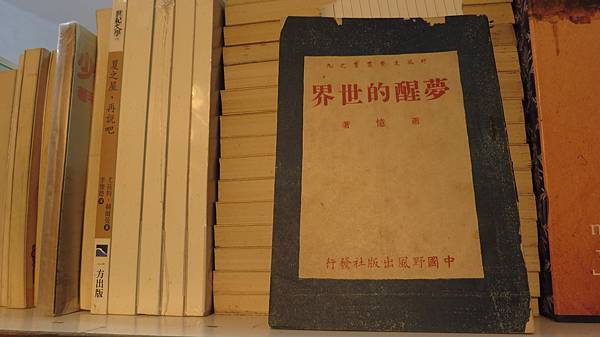 夢醒的世界 蕭憶 中國野風出版社(立立二手書店) 夢醒的世界 蕭憶 中國野風出版社(立立二手書店)