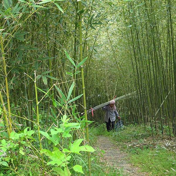 各有各的愛。暖暖。木心作家，即興判斷， 圓神。東勢坑盛興煤礦