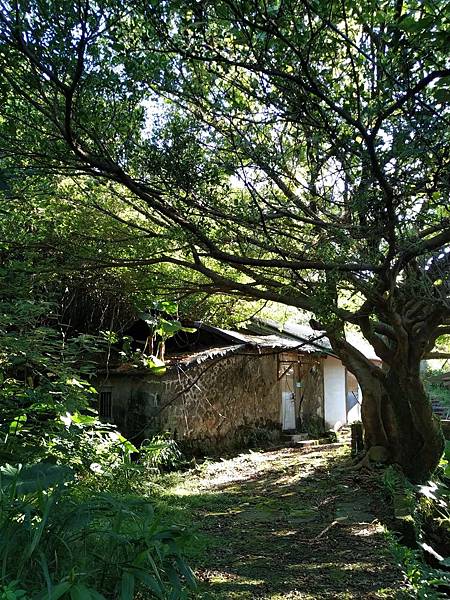 山尖路步道（山尖鞍步道，山尖古道，山尖步道，三安步道)的前世