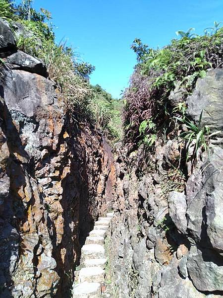 金瓜石金福宮東側，水圳橫切稜線峽道，野薑花圳溝，一線天，來到