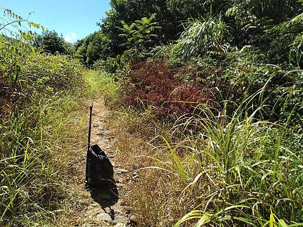 與英烈千秋同樣悲壯的大金瓜。溥心畬與金瓜石地質公園。本山露天