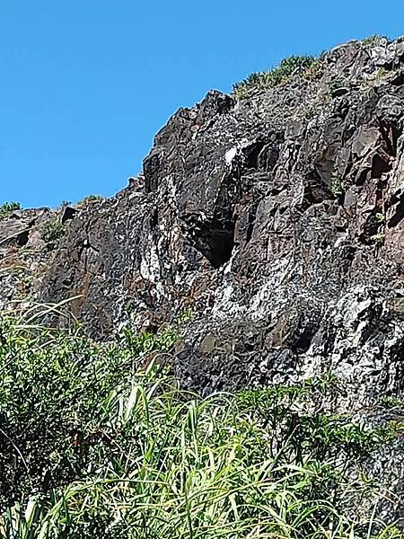 與英烈千秋同樣悲壯的大金瓜。溥心畬與金瓜石地質公園。本山露天