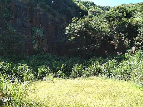 與英烈千秋同樣悲壯的大金瓜。溥心畬與金瓜石地質公園。本山露天