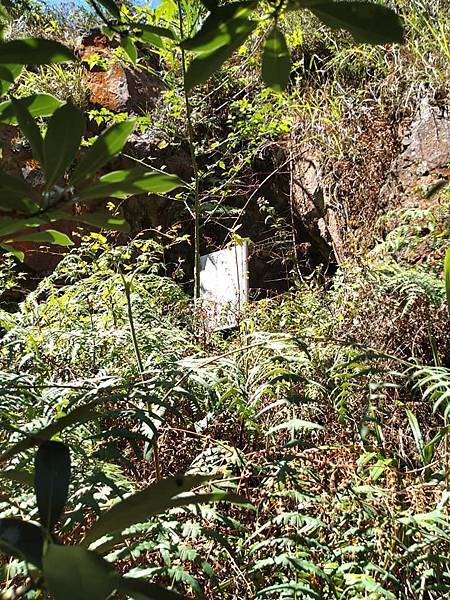 與英烈千秋同樣悲壯的大金瓜。溥心畬與金瓜石地質公園。本山露天