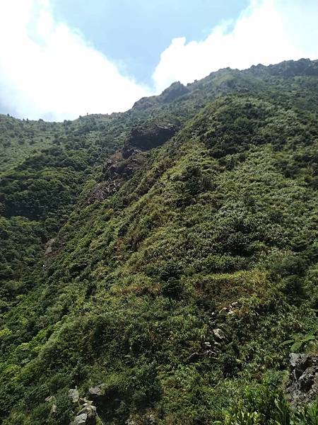 金瓜石半平山（ 半屏山）。地質學者金瓜石金礦山的富金包謎。 