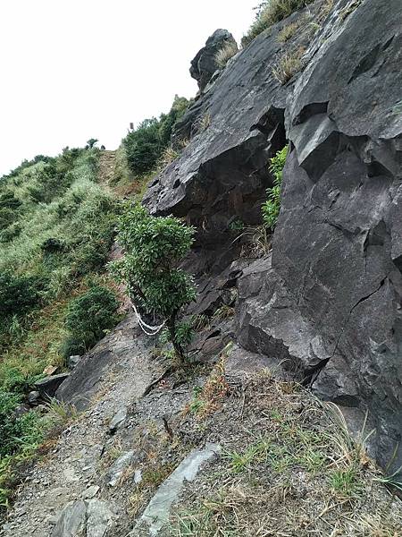 金瓜石半平山（ 半屏山）。地質學者金瓜石金礦山的富金包謎。 