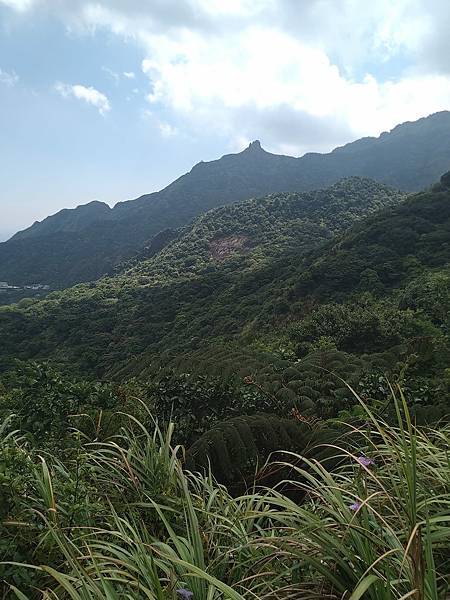 九份，金瓜石，百二崁古道-牡丹坑貂山古道-草山戰備道-金瓜石