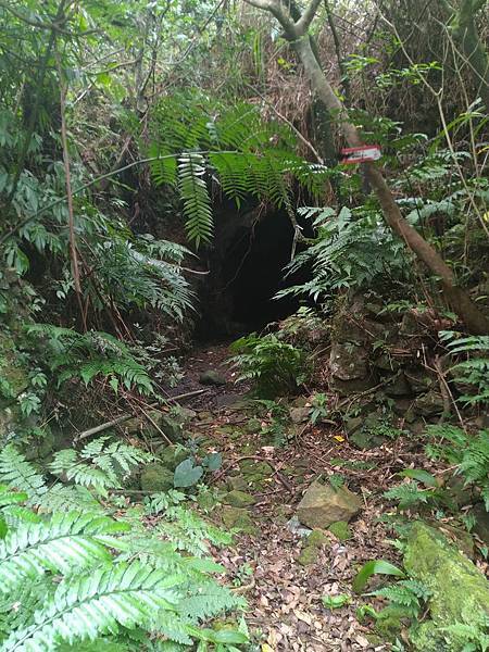 九份，金瓜石，百二崁古道-牡丹坑貂山古道-草山戰備道-金瓜石