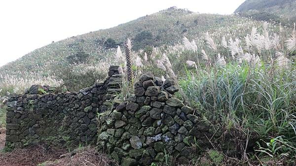 九份，金瓜石，百二崁古道-牡丹坑貂山古道-草山戰備道-金瓜石