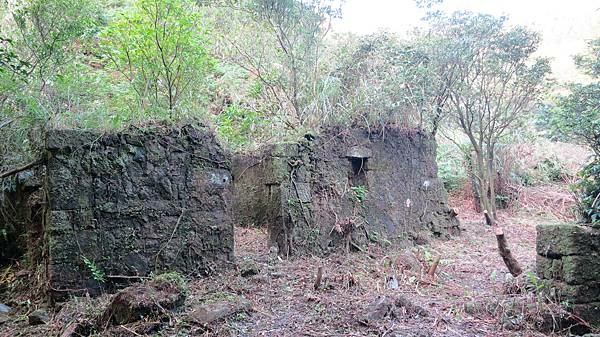 九份，金瓜石，百二崁古道-牡丹坑貂山古道-草山戰備道-金瓜石