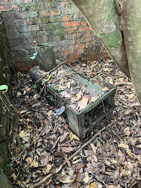 金東坑古道。金瓜石黃金博物館~黃金神社~本山四坑~金瓜石導覽