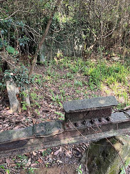 金東坑古道。金瓜石黃金博物館~黃金神社~本山四坑~金瓜石導覽