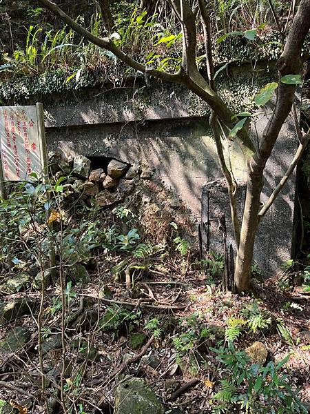 金東坑古道。金瓜石黃金博物館~黃金神社~本山四坑~金瓜石導覽