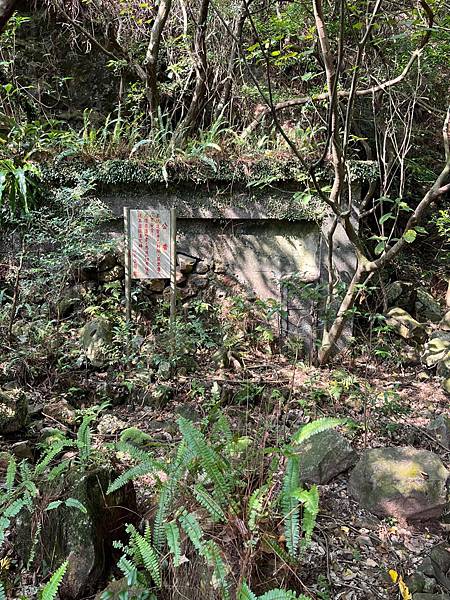 金東坑古道。金瓜石黃金博物館~黃金神社~本山四坑~金瓜石導覽