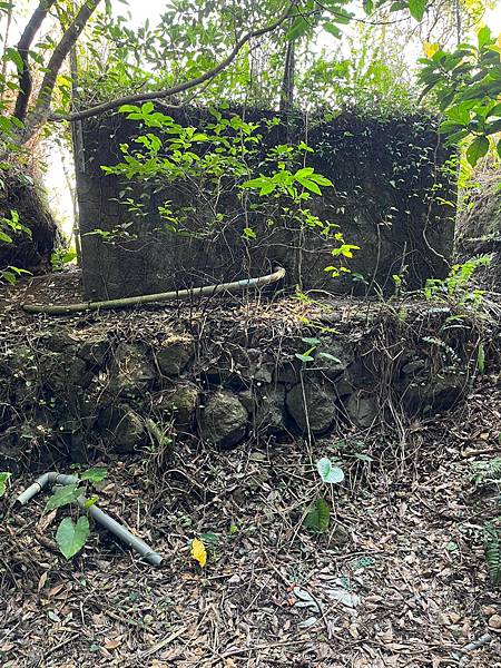 金東坑古道。金瓜石黃金博物館~黃金神社~本山四坑~金瓜石導覽