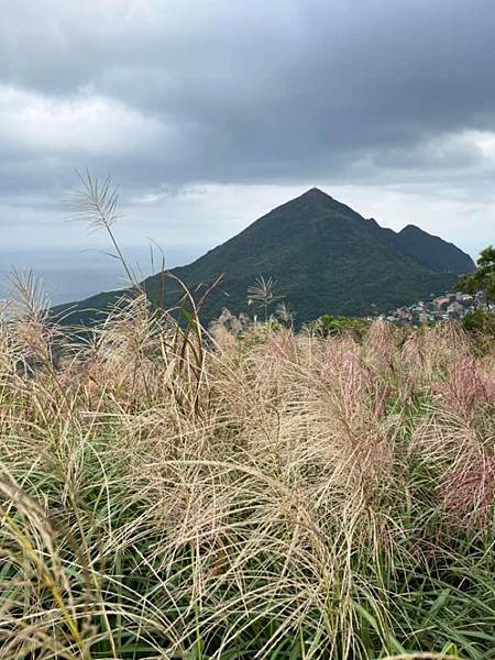 臺灣最大金主的界碑。雞籠山地界碑 共業主顏雲，蘇維仁， 蘇盛