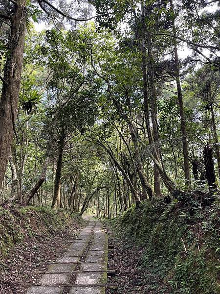 跑馬古道-石牌縣界公園-四堵古道前段連走。白石腳金礦。礁溪溫