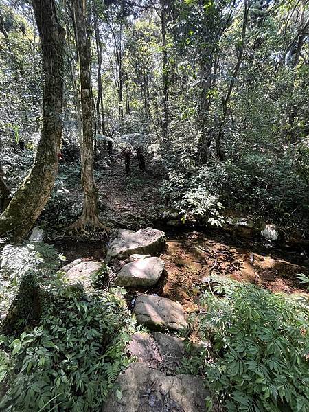 跑馬古道-石牌縣界公園-四堵古道前段連走。白石腳金礦。礁溪溫