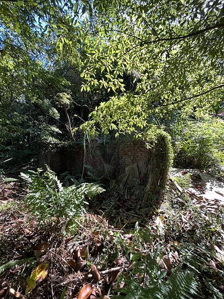 新竹縣關西鎮石門地區新富玉山的繁華標誌。新竹到府收購二手書舊