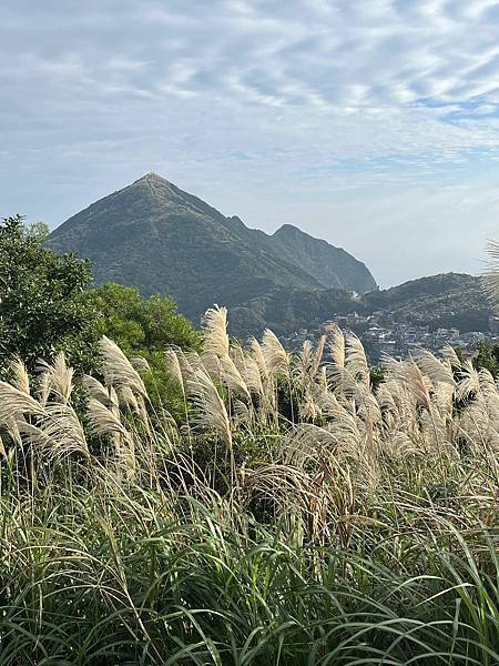 九份山金故事。小金瓜露頭，小粗坑古道，九份頌德公園，侯硐大粗