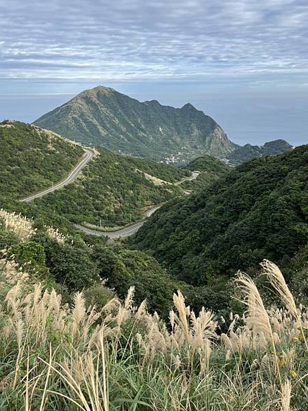 九份金瓜石雙溪的賞芒地點。樂伯二手書店-九份老街-九份國小-