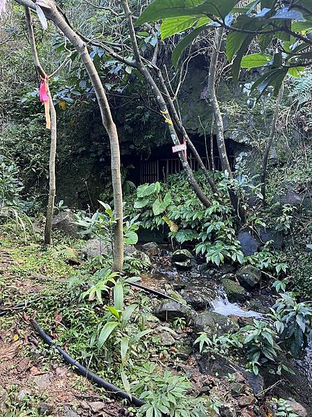 金東坑古道。金瓜石黃金博物館~黃金神社~本山四坑~金瓜石導覽