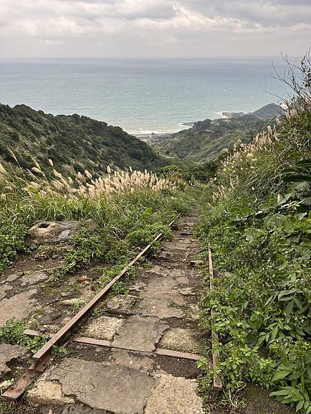 茶壺山步道，茶壺山產業道路O型縱走，是走在黃金寶地上，物產豐