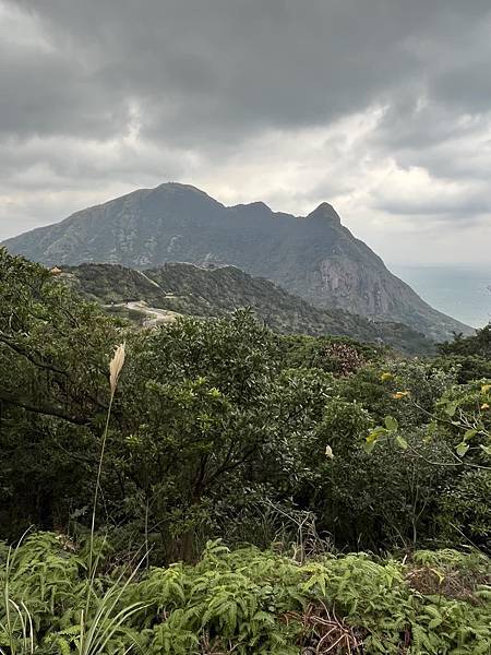 芒花花海說金不純金，說銀也還有金。金瓜石茶壺山登山步道。第一