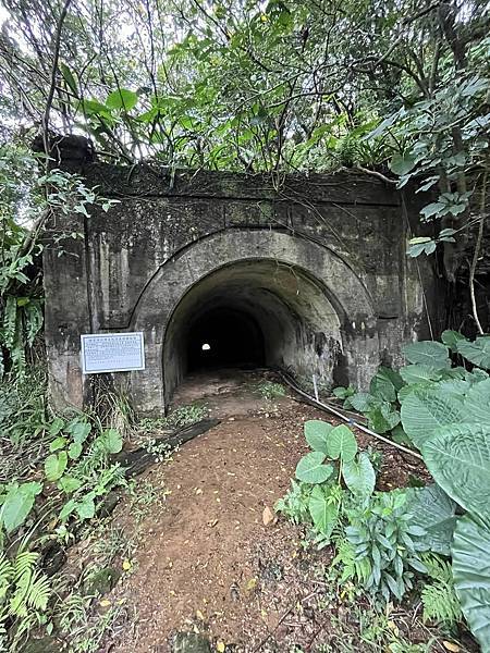 金瓜石報時山山麓水圳路古道。本山六坑古道