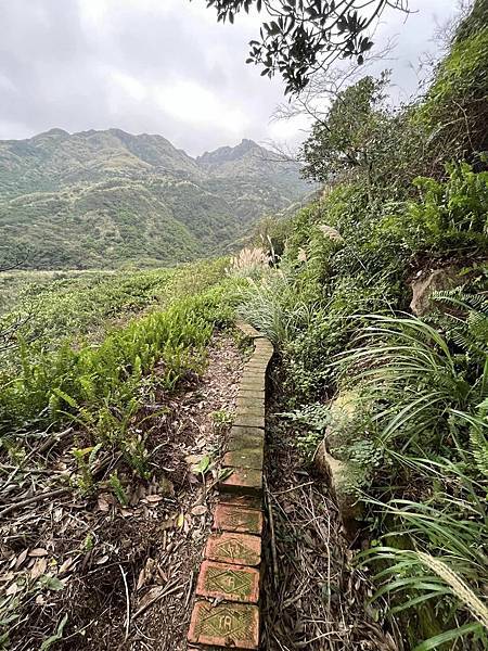 金瓜石報時山山麓水圳路古道。本山六坑古道