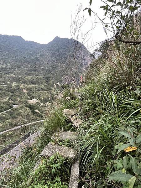 金瓜石報時山山麓水圳路古道。本山六坑古道