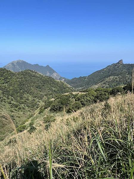 大年初二早上，獨自爬山五小時，大約十二公里。黃金博物館-黑肉