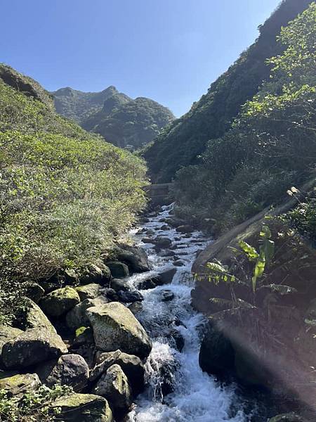 大年初二早上，獨自爬山五小時，大約十二公里。黃金博物館-黑肉