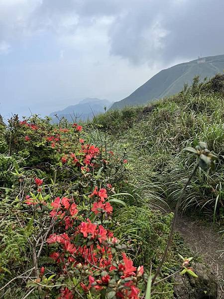 2025年3月25日。爬山約10公里，費時三小時，燦光寮山山