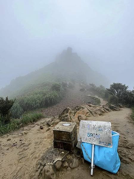 半平山紅星杜鵑，爬地杜鵑，金毛杜鵑盛開。辛波絲卡詩集-雲朵。