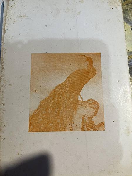 470134324_9860118690679153_5304340345496061319_n.jpg