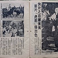虎胆-03.jpg