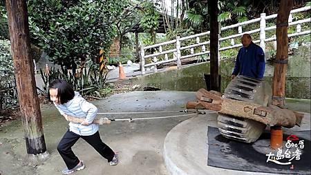 獸力碾料製程;以往是牛來拉動,現在則讓來訪之人親身體驗用石輪碾竹料的過程。劉大哥說要向外走才拉得動。