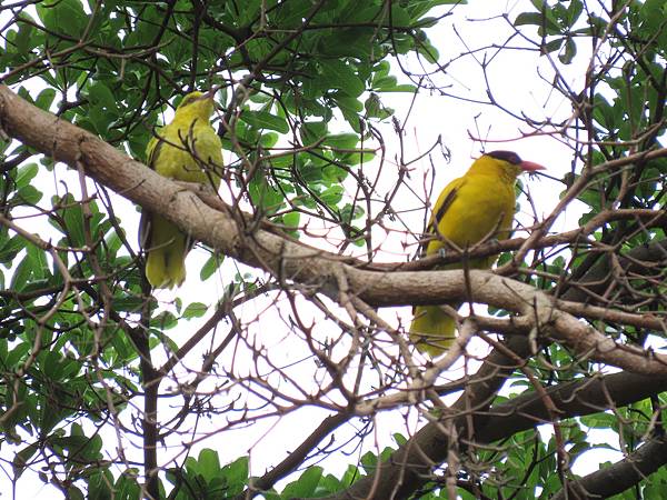 1.繁衍下一代的季節到了